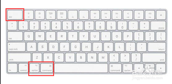 mac怎么强制关机
