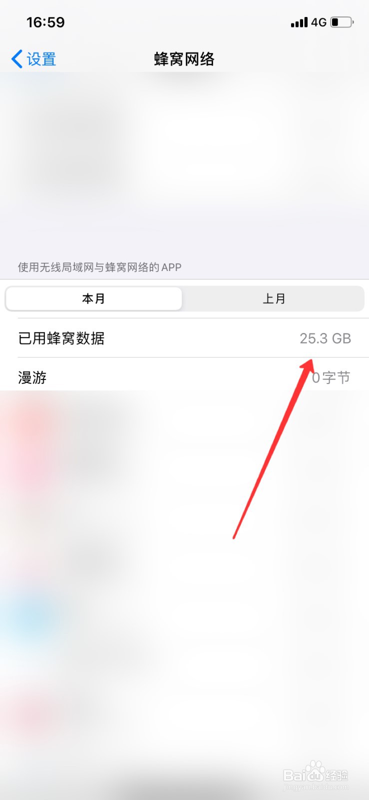 苹果手机本月流量用量怎么查询