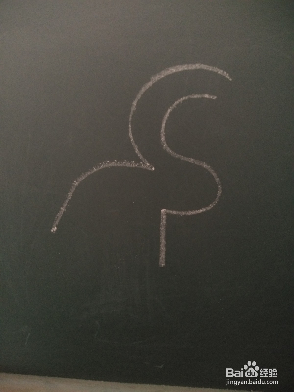 火烈鸟的简笔画法