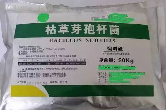 枯草芽孢杆菌无氧繁殖快还是有氧繁殖快