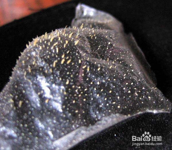 怎么去掉顽固黑头