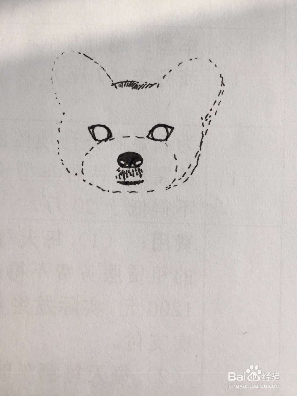 dxdll手绘之雪纳瑞犬