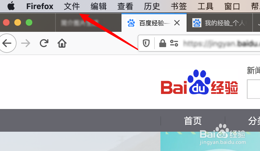 mac版Firefox浏览器，如何将网页保存为文本文件