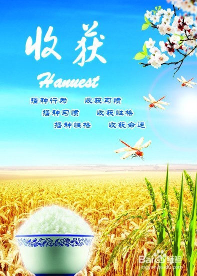 写百度经验有感