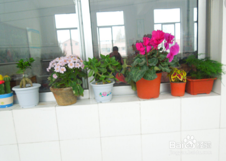 当了班主任，怎样设计班级的布置呢？