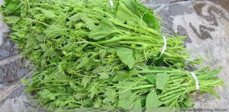 南瓜藤的妙用和功效