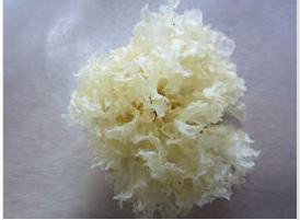 女人吃什么滋阴补肾