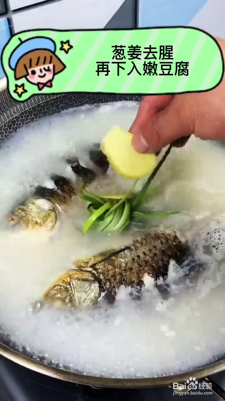 如何制作奶白奶白的鲫鱼汤