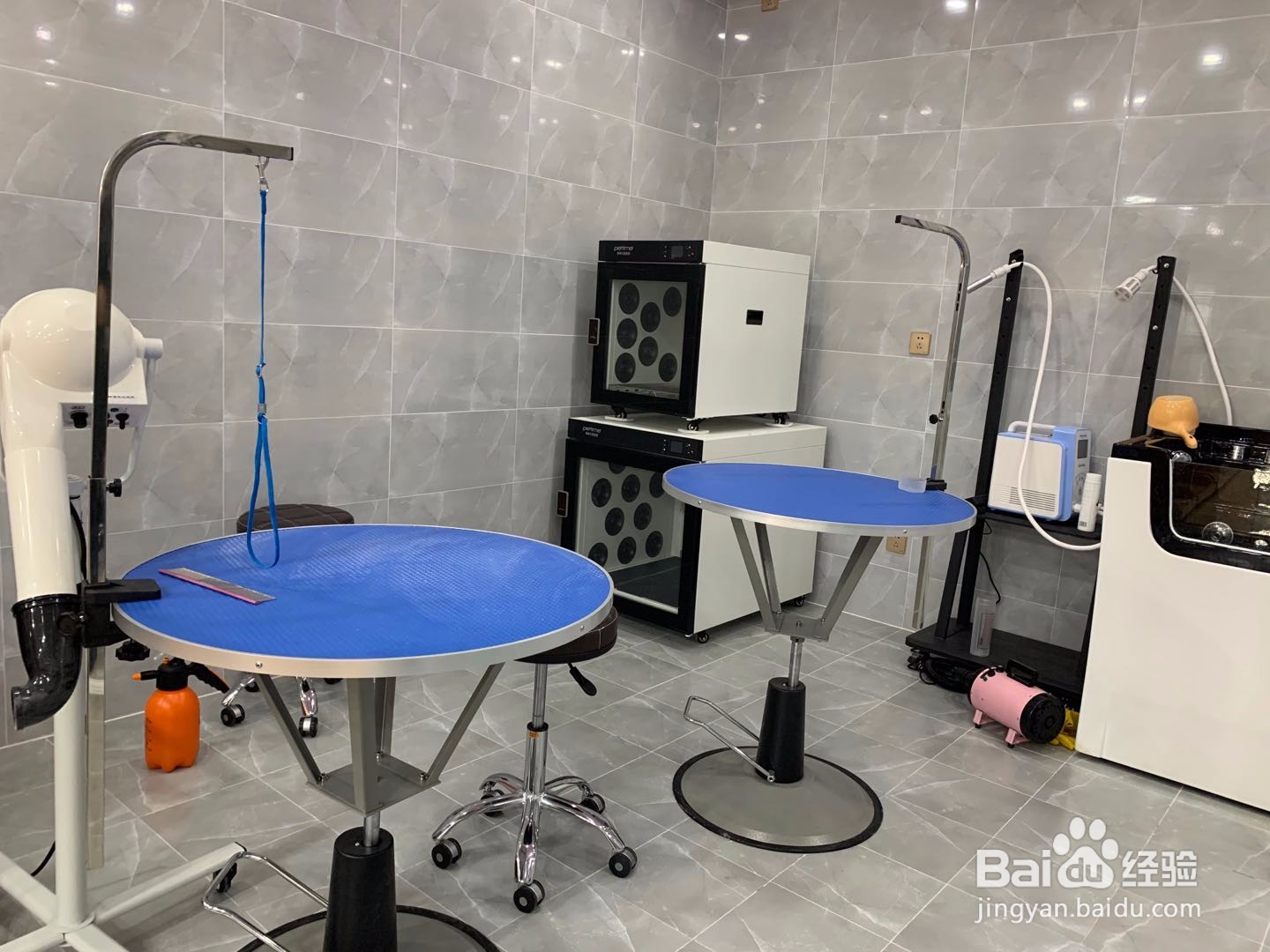 加盟宠物连锁店哪家比较好