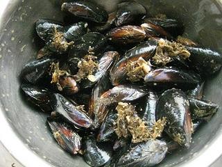 新鲜海虹怎么保存