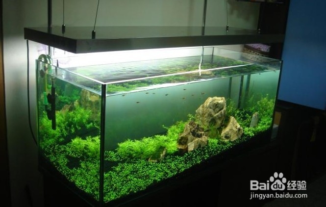 朋友乔迁新居送什么