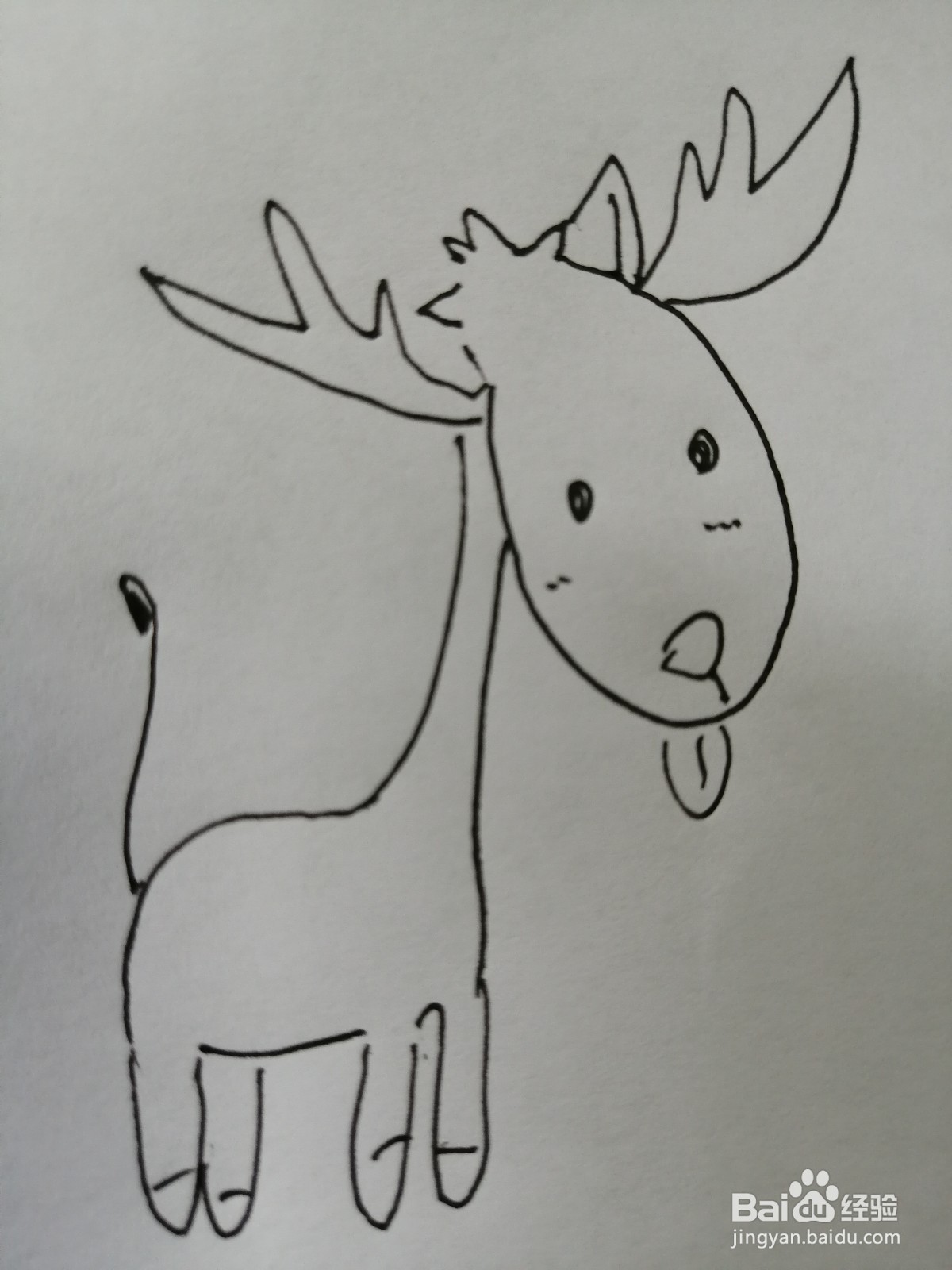 <b>可爱的小麋鹿怎么画</b>