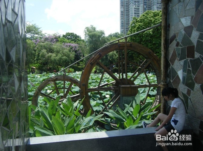 深圳哪里好玩又便宜