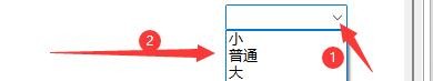 RJ TextED如何设置主工具栏按钮大小