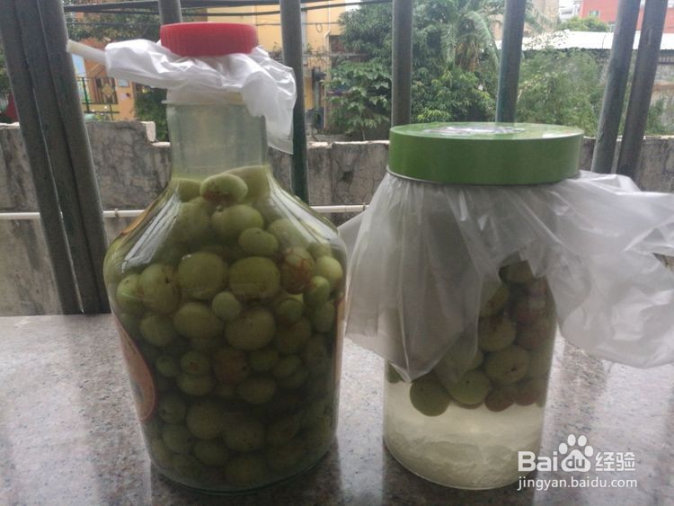 余甘果的正宗腌制方法