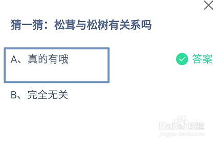 蚂蚁庄园：猜一猜:松茸与松树有关系吗