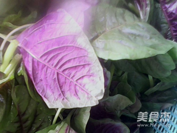 蒜蓉苋菜的做法