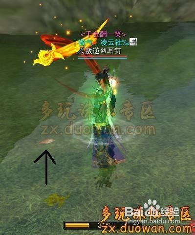 经验心得：左观鱼的千年鲤鱼任务全功略