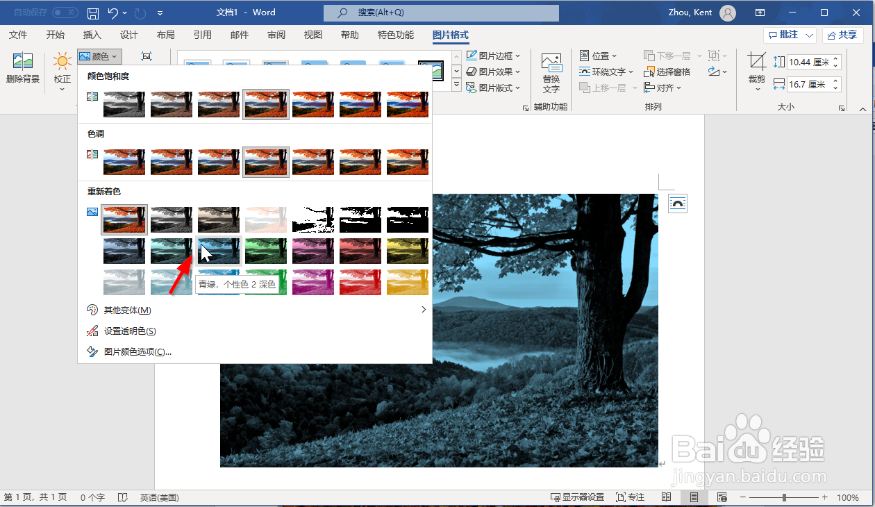 如何在Microsoft Office 365中设置图片格式