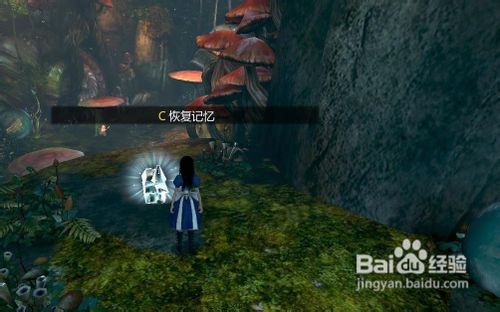 单机解说爱丽丝:疯狂回归