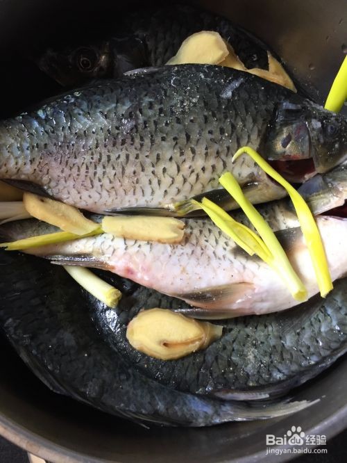 如何炖鲤鱼好吃又简单