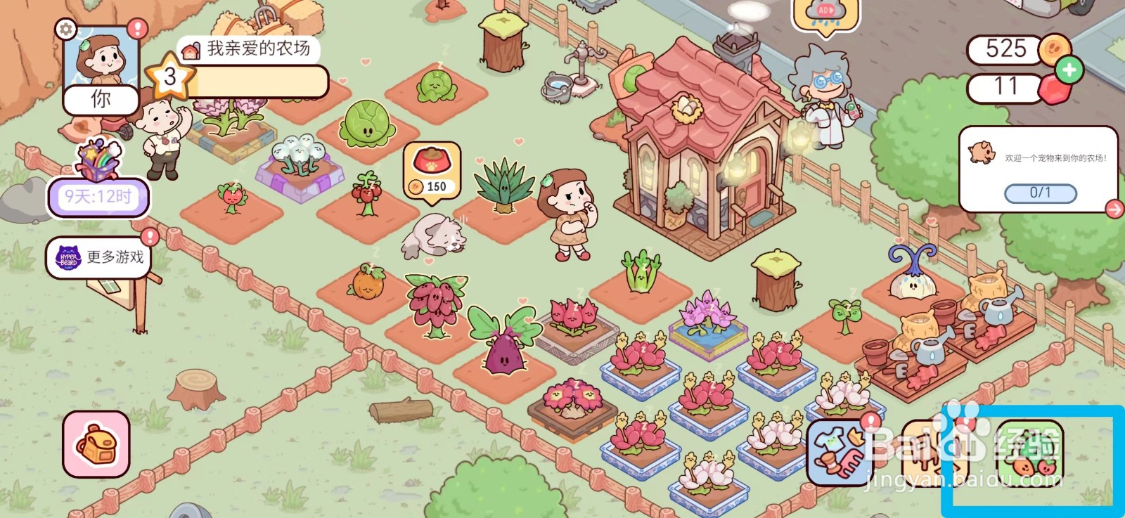 我亲爱的农场如何购买覆盆子