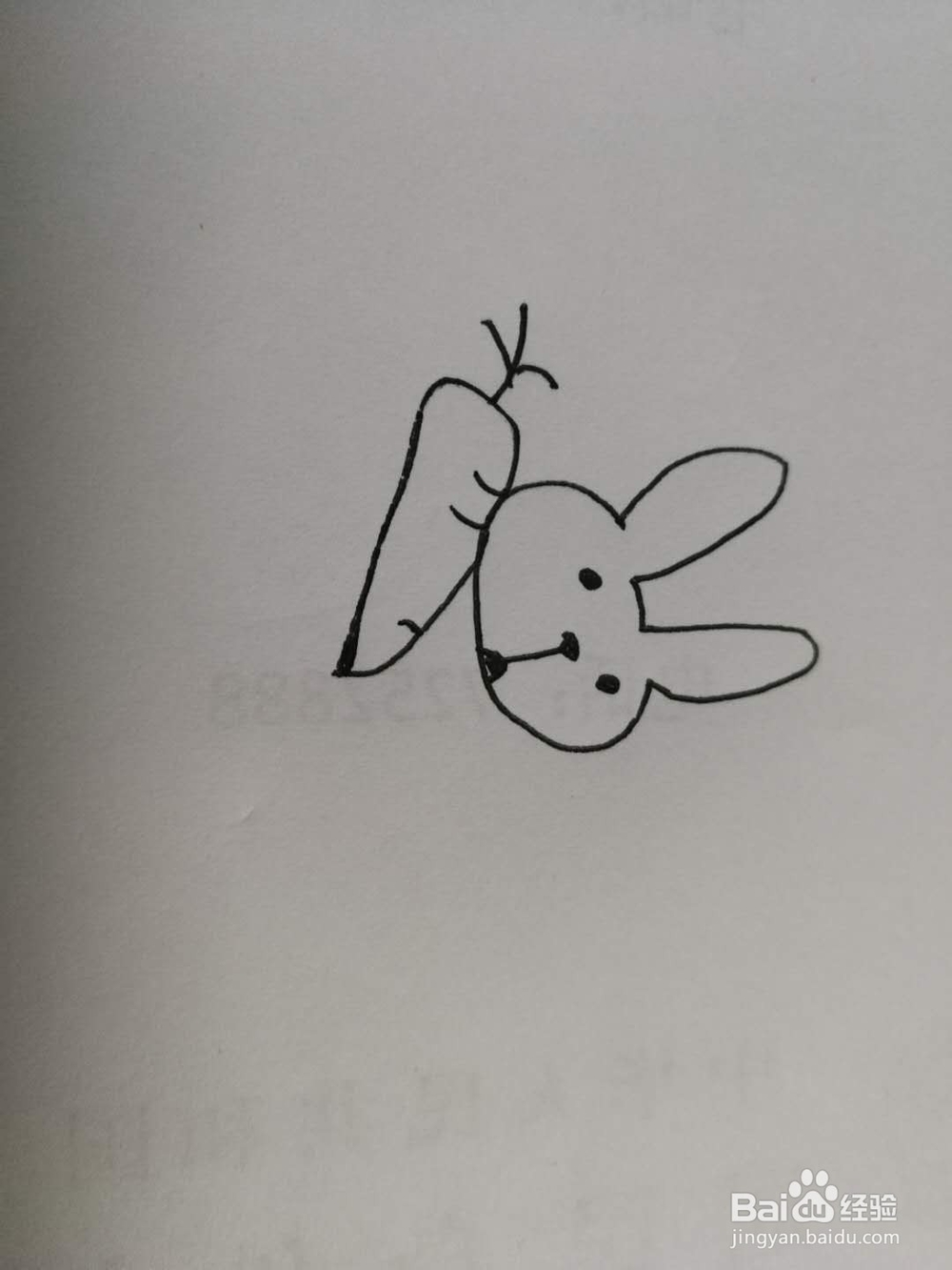 简笔画抱着萝卜的兔子