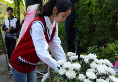 扫墓注意事项是什么