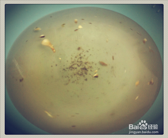 家常小菜一碟：[15]家常炒草菇做法