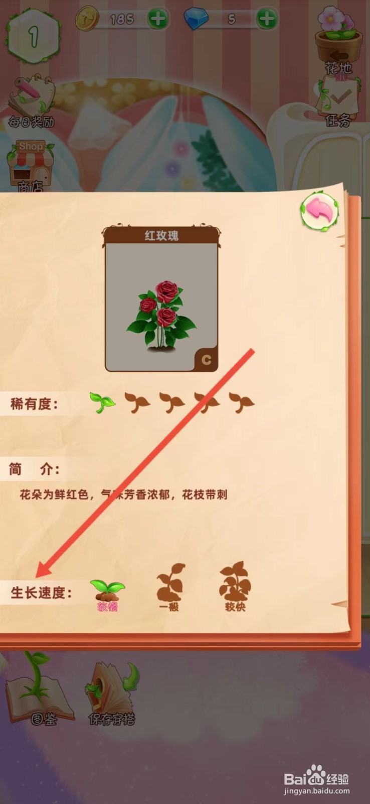 花花姑娘如何查看红玫瑰的【生长速度】