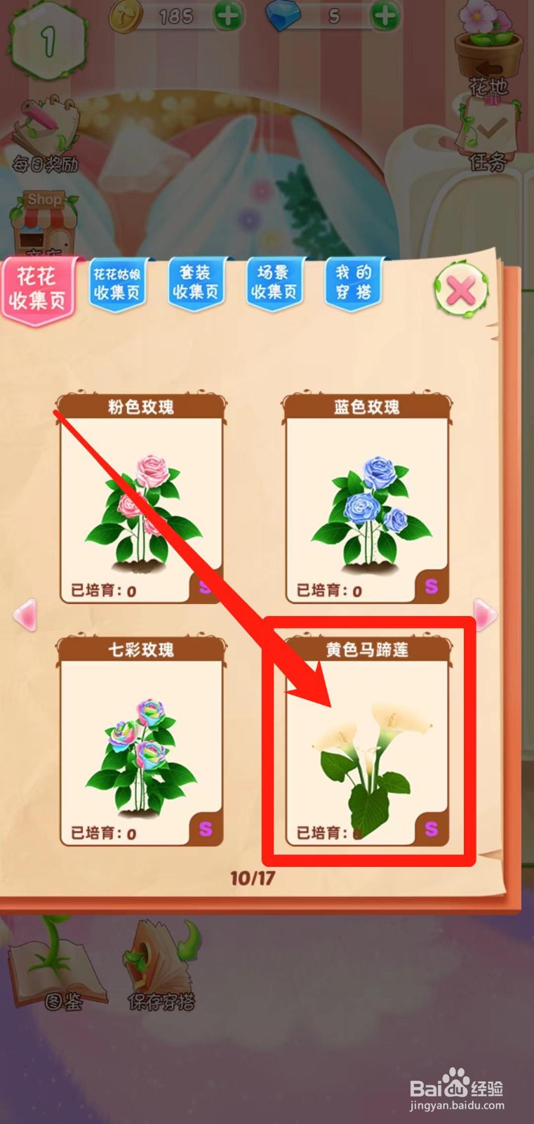 花花姑娘之魔法花园如何查看黄色马蹄莲简介
