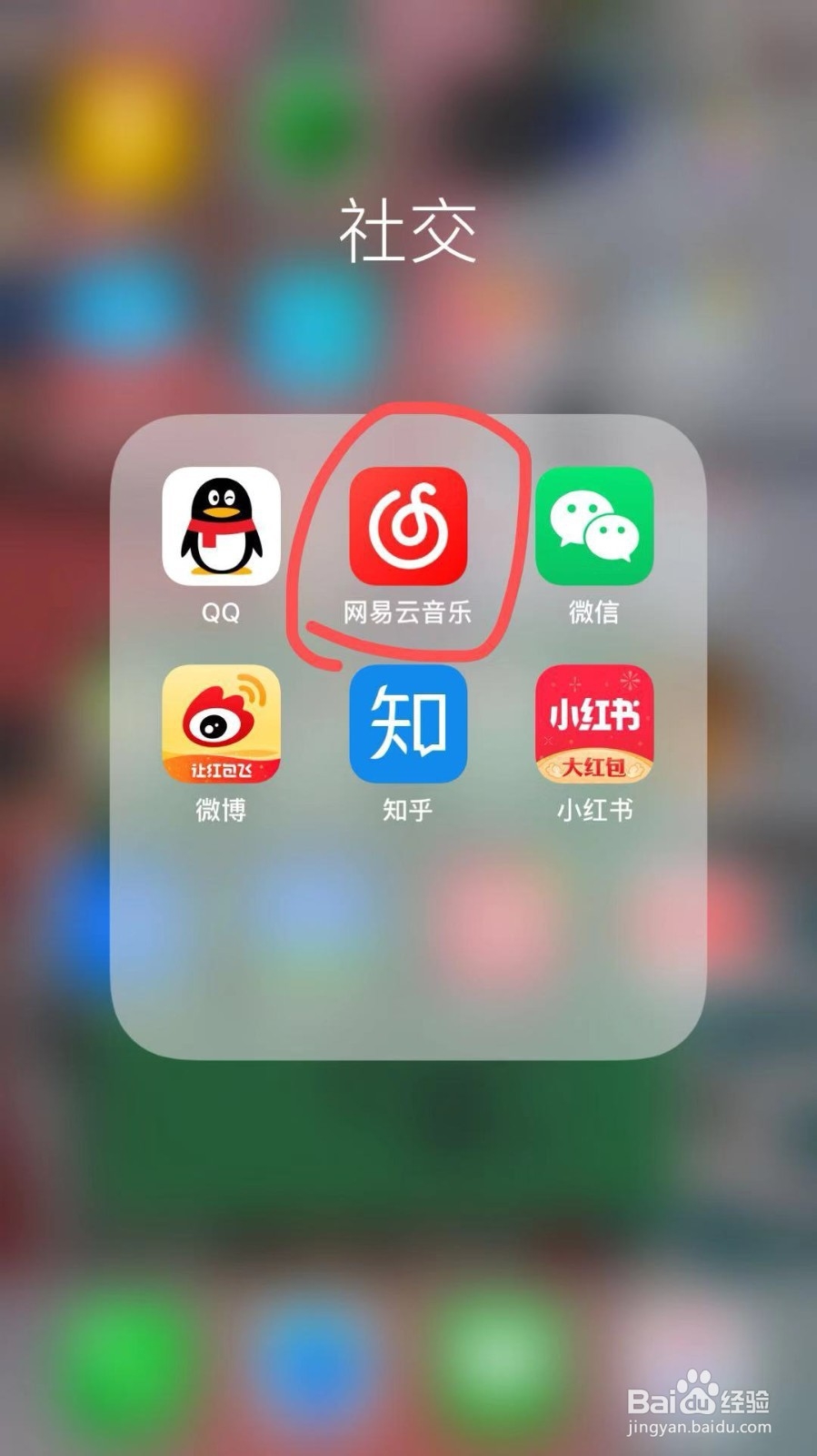 网易云怎么填写介绍