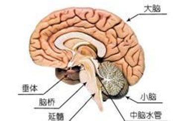 导致腺垂体功能减退症的原因有哪些？