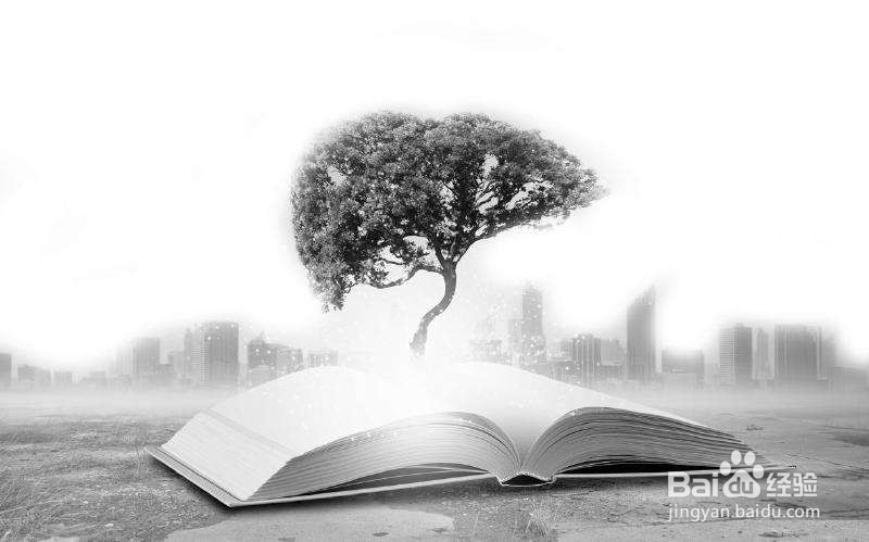 如何培养孩子语文文学能力