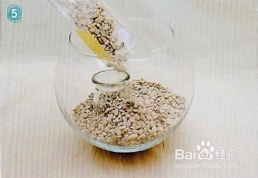 简单的小鱼(缸)DIY教程