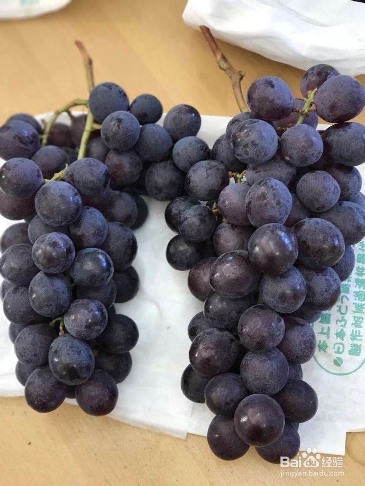 经常吃巨峰葡萄都有什么养生功效？