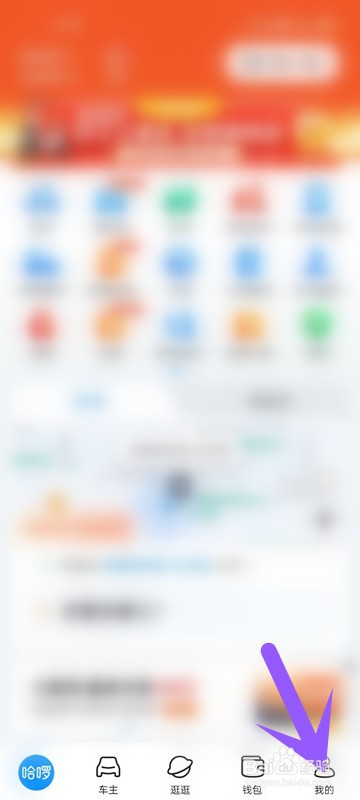 怎么查看哈啰APP的会员名称