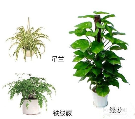 雾霾天气的应对措施