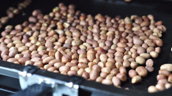 自制超爽辣椒酱