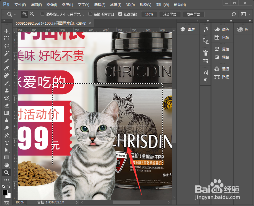 ps怎么将指定区域的图片放大