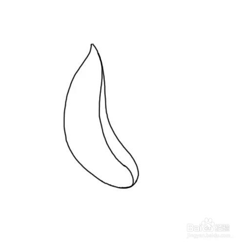 毛豆简笔画