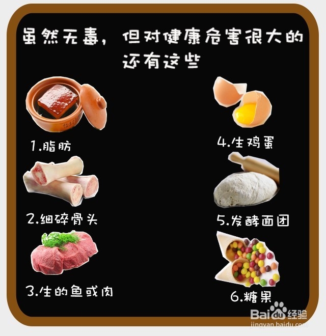 狗狗不能吃的15种食物