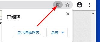 谷歌浏览器翻译工具不见了