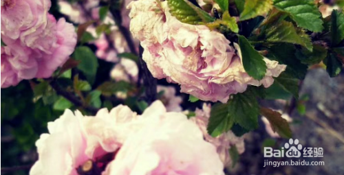 生气憋屈怎么发朋友圈