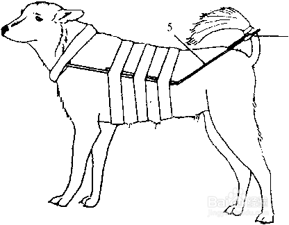 怎样对犬进行保定