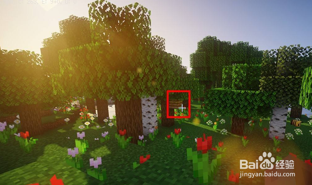 我的世界蜜蜂在哪里找