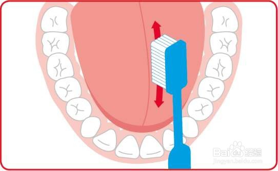 怎样刷牙才是最正确的？
