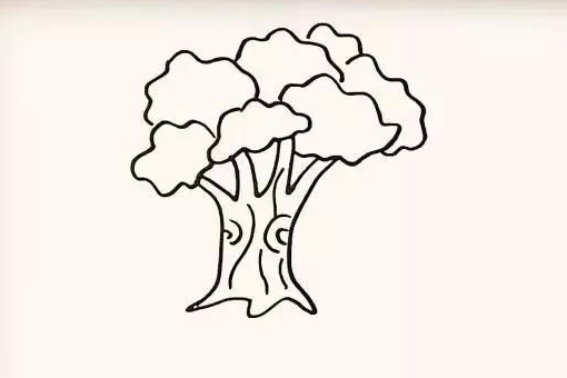 树的简笔画怎么画