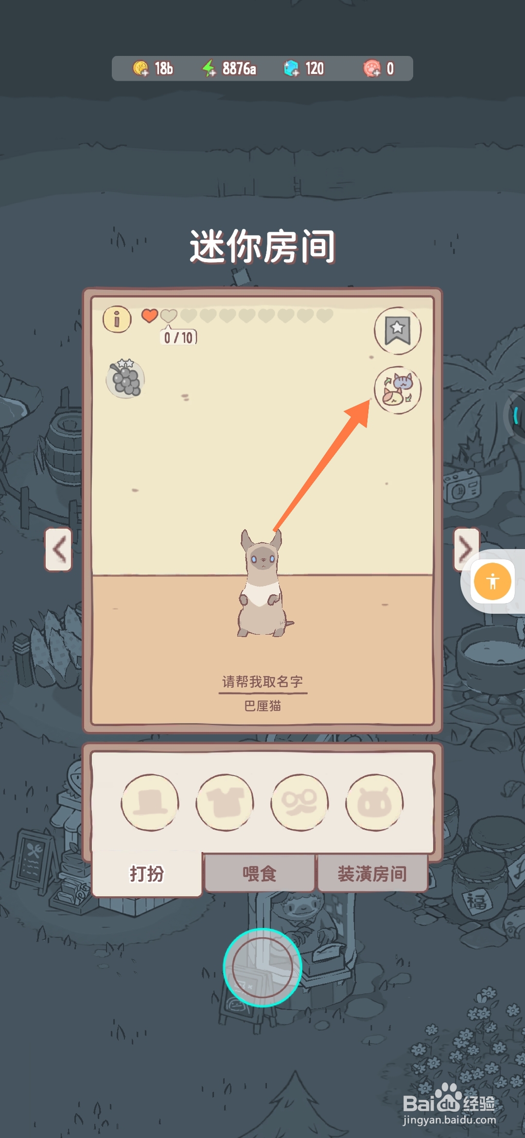 猫咪和汤如何给猫咪更换工作