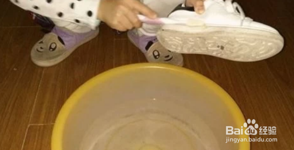 踩死蟑螂然后怎么处理